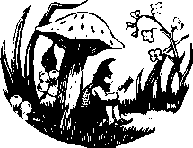 The Toadstool